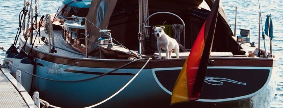 SAILINGSALTWATER